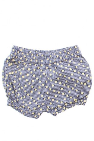 Dziecięce szorty Coccodrillo, Rozmiar 3-6m/ 62-68 cm, Kolor Kolorowy, Cena 32,00 zł