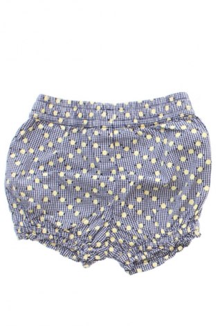 Dziecięce szorty Coccodrillo, Rozmiar 3-6m/ 62-68 cm, Kolor Kolorowy, Cena 32,00 zł