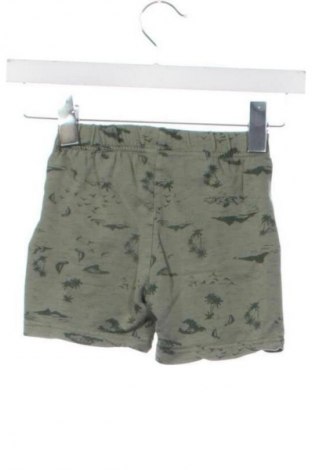 Dziecięce szorty Defacto, Rozmiar 2-3y/ 98-104 cm, Kolor Zielony, Cena 32,18 zł