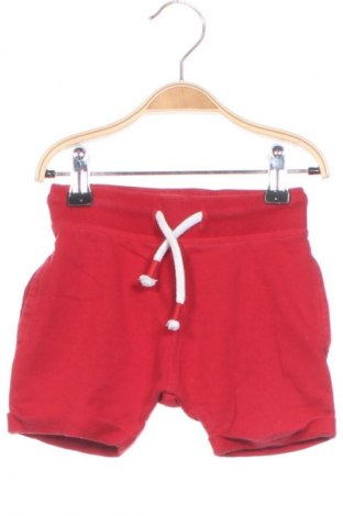 Kinder Shorts Next, Größe 9-12m/ 74-80 cm, Farbe Rot, Preis € 5,99