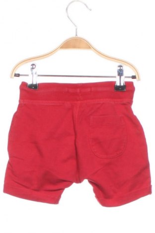 Kinder Shorts Next, Größe 9-12m/ 74-80 cm, Farbe Rot, Preis € 5,99