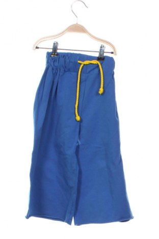 Pantaloni pentru copii Unbranded, Mărime 5-6y/ 116-122 cm, Culoare Albastru, Preț 54,95 Lei