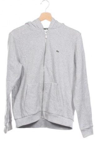 Detská mikina  Lacoste, Veľkosť 15-18y/ 170-176 cm, Farba Sivá, Cena  59,95 €