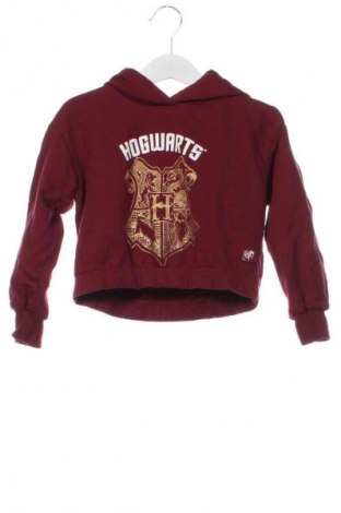 Kinder Sweatshirts Sinsay, Größe 4-5y/ 110-116 cm, Farbe Rot, Preis € 6,99