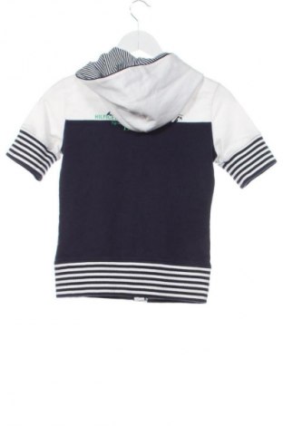 Kinder Sweatshirts Tommy Hilfiger, Größe 11-12y/ 152-158 cm, Farbe Mehrfarbig, Preis € 55,24