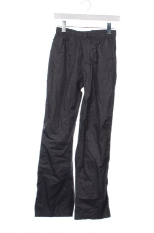 Pantaloni de trening, pentru copii Pocopiano, Mărime 12-13y/ 158-164 cm, Culoare Gri, Preț 84,99 Lei
