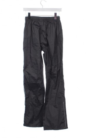 Pantaloni de trening, pentru copii Pocopiano, Mărime 12-13y/ 158-164 cm, Culoare Gri, Preț 84,99 Lei