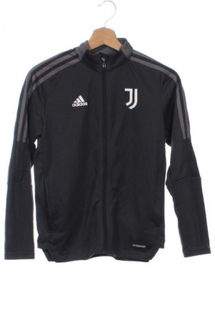 Bluză de trening, pentru copii Adidas, Mărime 10-11y/ 146-152 cm, Culoare Gri, Preț 115,99 Lei