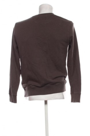 Herren Shirt Calvin Klein Jeans, Größe M, Farbe Braun, Preis € 28,99