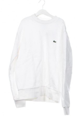 Herren Shirt Lacoste, Größe XS, Farbe Weiß, Preis € 43,99