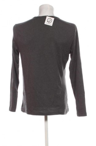 Herren Shirt Red Wood, Größe L, Farbe Grau, Preis 10,00 €