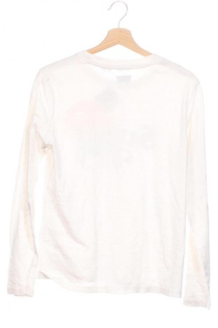 Pánske tričko  Superdry, Veľkosť M, Farba Kremová, Cena  42,00 €