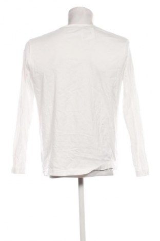 Herren Shirt Tom Tailor, Größe L, Farbe Mehrfarbig, Preis € 18,99