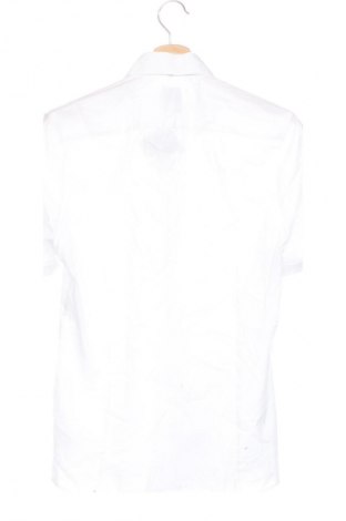 Herrenhemd Olymp, Größe S, Farbe Ecru, Preis € 33,99