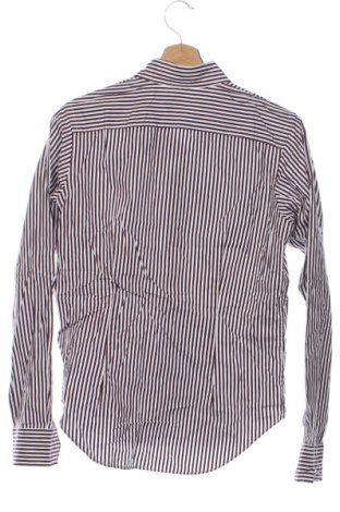 Cămașă de femei Ralph Lauren, Mărime S, Culoare Multicolor, Preț 352,99 Lei