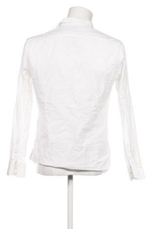 Ανδρικό πουκάμισο Ted Baker, Μέγεθος M, Χρώμα Λευκό, Τιμή 43,78 €