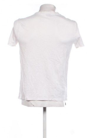 Herren T-Shirt Champion, Größe S, Farbe Mehrfarbig, Preis 4,99 €