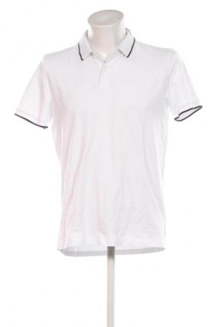 Herren T-Shirt Hollister, Größe L, Farbe Weiß, Preis € 32,99