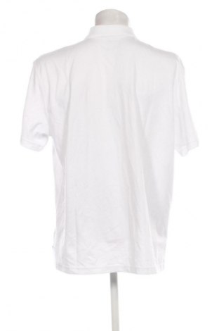 Pánské tričko  Hollister, Velikost XXL, Barva Bílá, Cena  549,00 Kč