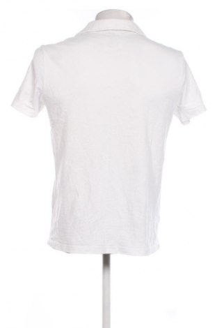 Herren T-Shirt Massimo Dutti, Größe M, Farbe Weiß, Preis € 15,35