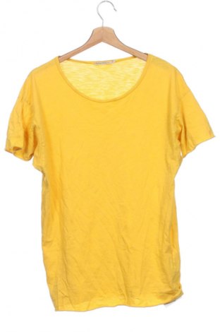 Pánske tričko  Nudie Jeans Co, Veľkosť XS, Farba Žltá, Cena  8,95 €