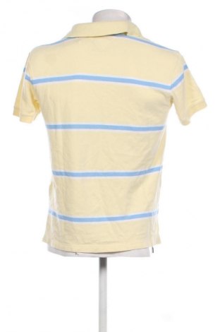Ανδρικό t-shirt Tommy Hilfiger, Μέγεθος S, Χρώμα Πολύχρωμο, Τιμή 36,15 €
