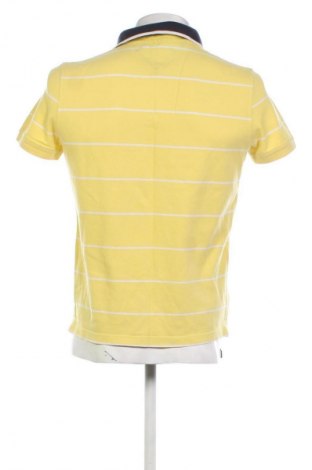Ανδρικό t-shirt Tommy Hilfiger, Μέγεθος M, Χρώμα Πολύχρωμο, Τιμή 34,78 €