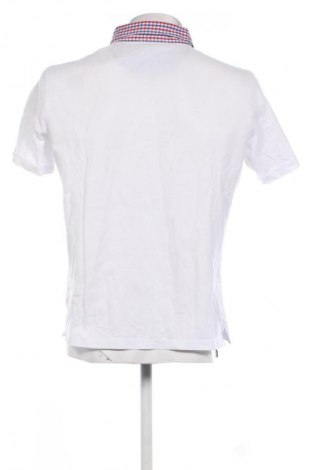 Herren T-Shirt Walbusch, Größe L, Farbe Weiß, Preis € 33,99