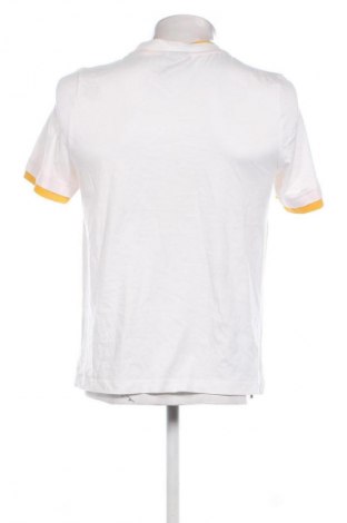 Herren T-Shirt Watson's, Größe M, Farbe Weiß, Preis € 10,99
