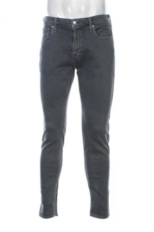 Herren Jeans Hollister, Größe M, Farbe Grau, Preis € 33,99
