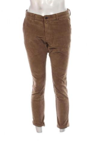 Herren Cordhose Jack & Jones, Größe M, Farbe Braun, Preis € 28,99