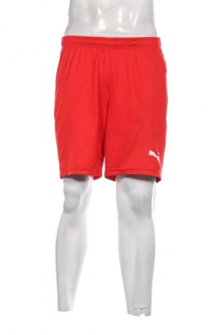 Pánské kraťasy PUMA, Velikost M, Barva Červená, Cena  549,00 Kč