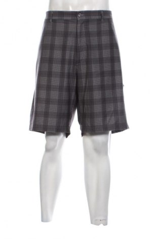 Herren Shorts Pebble Beach, Größe XXL, Farbe Mehrfarbig, Preis € 31,71