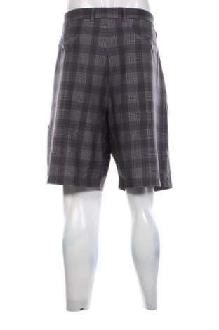 Herren Shorts Pebble Beach, Größe XXL, Farbe Mehrfarbig, Preis € 31,71