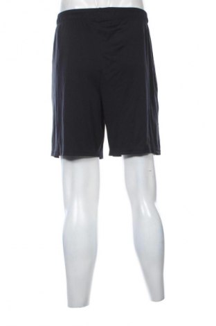 Herren Shorts Under Armour, Größe L, Farbe Blau, Preis € 23,99