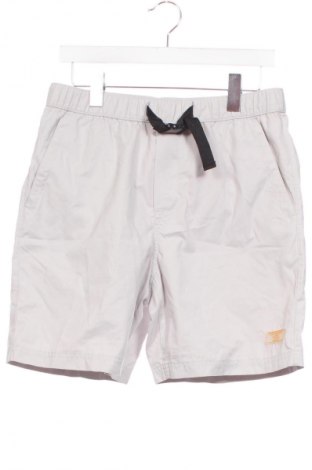 Herren Shorts Zara, Größe S, Farbe Grau, Preis 13,99 €