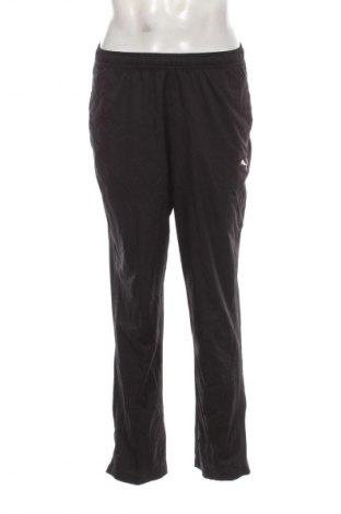 Herren Sporthose PUMA, Größe S, Farbe Schwarz, Preis € 33,99