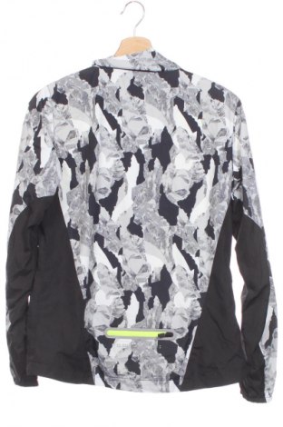 Herrenjacke Cubus, Größe S, Farbe Mehrfarbig, Preis € 33,99