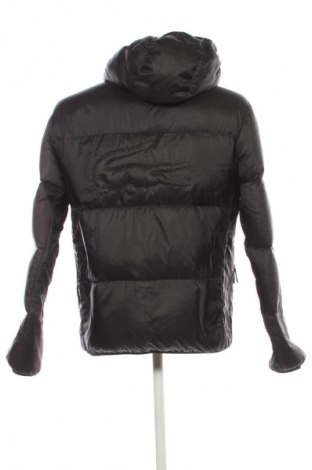 Herrenjacke Lacoste, Größe M, Farbe Schwarz, Preis € 259,99