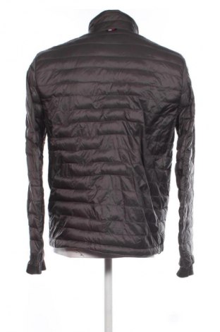 Pánska bunda  Tommy Hilfiger, Veľkosť M, Farba Sivá, Cena  52,95 €
