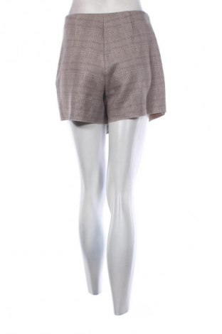 Hosenrock Zara, Größe S, Farbe Mehrfarbig, Preis € 13,99