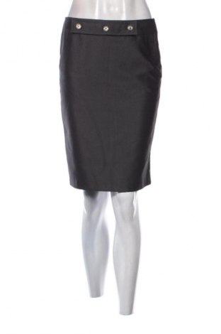 Φούστα Carla, Μέγεθος S, Χρώμα Γκρί, Τιμή 49,57 €