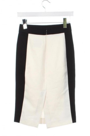Fustă Zara, Mărime XS, Culoare Multicolor, Preț 52,63 Lei