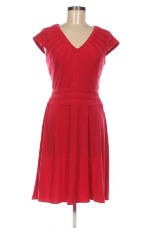 Kleid Adrianna Papell, Größe S, Farbe Rot, Preis 33,99 €