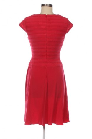 Kleid Adrianna Papell, Größe S, Farbe Rot, Preis 33,99 €