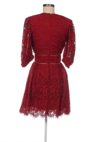 Kleid Bardot, Größe S, Farbe Rot, Preis 83,99 €