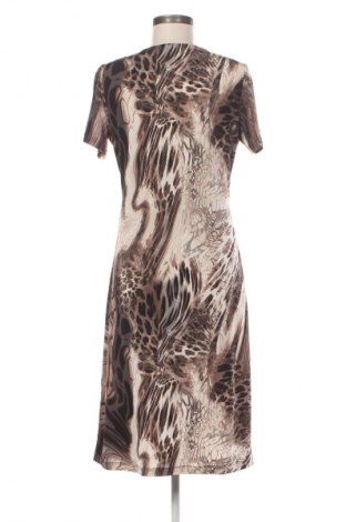Kleid Betty Barclay, Größe L, Farbe Mehrfarbig, Preis € 53,99
