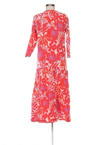 Kleid Betty Barclay, Größe M, Farbe Mehrfarbig, Preis € 57,99