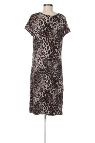 Sukienka Bexleys, Rozmiar XL, Kolor Czarny, Cena 143,99 zł