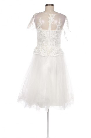 Kleid Chi Chi, Größe M, Farbe Mehrfarbig, Preis 151,41 €